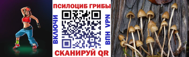 Галлюциногенные грибы мицелий  Анапа 